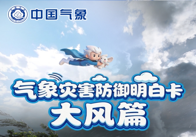 气象灾害防御明白卡——大风篇